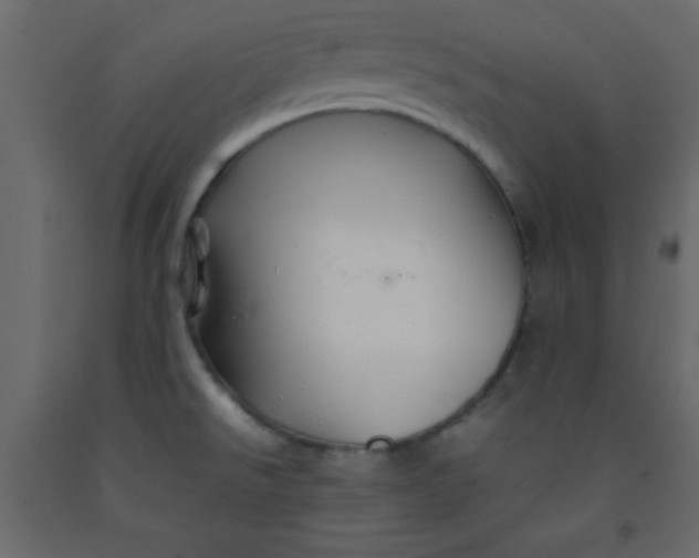 X0000092211526200710051126