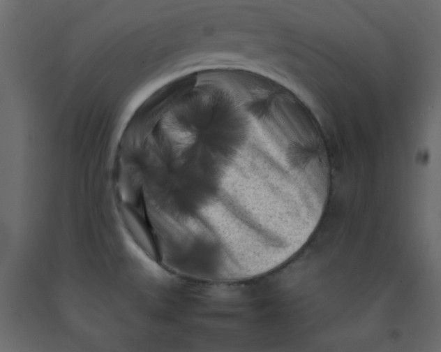 X0000092211527200710051126