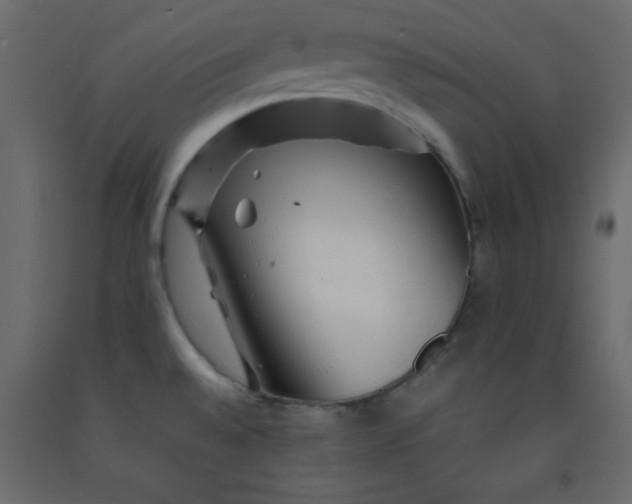 X0000092211528200710051126