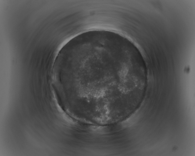 X0000092211529200710051126