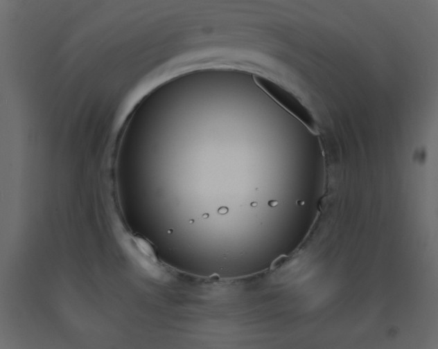 X0000092211530200710051126