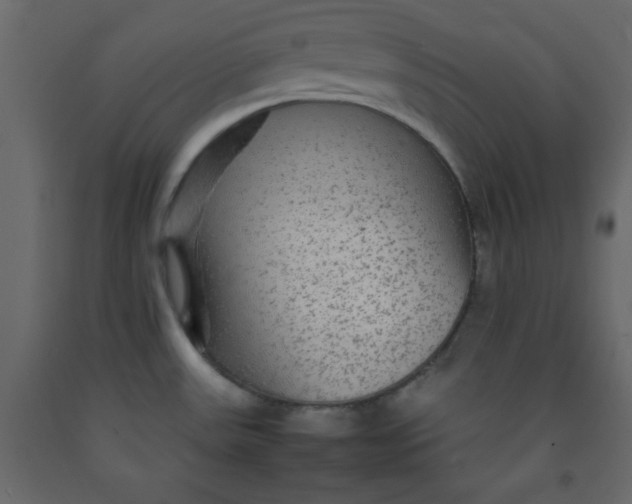 X0000092211531200710051126