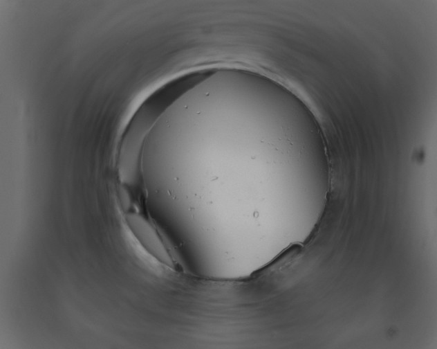 X0000092211532200710051126