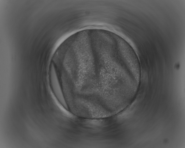 X0000092211533200710051126