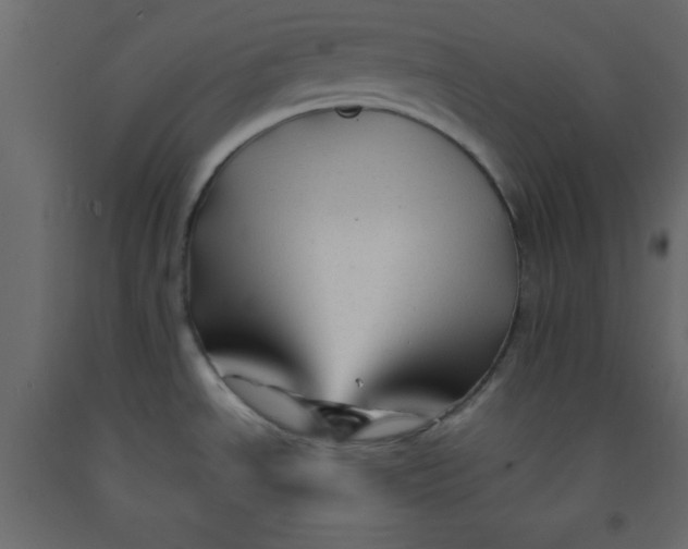 X0000092211534200710051126