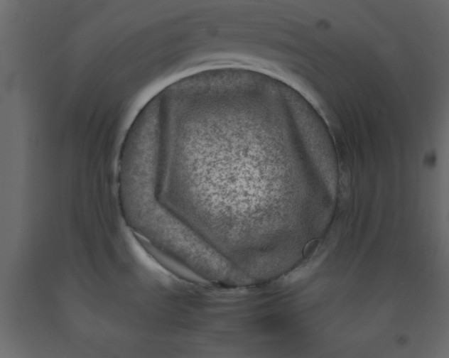 X0000092211535200710051126