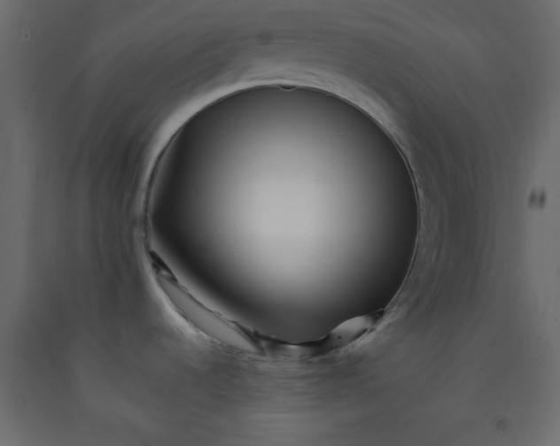 X0000092211536200710051126