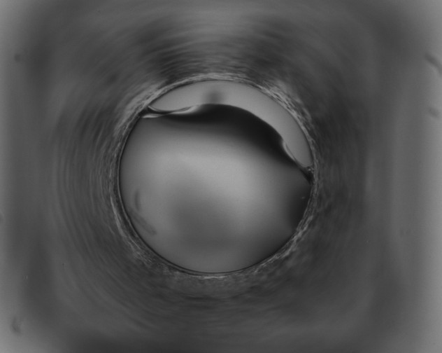 X0000092210001200710121139