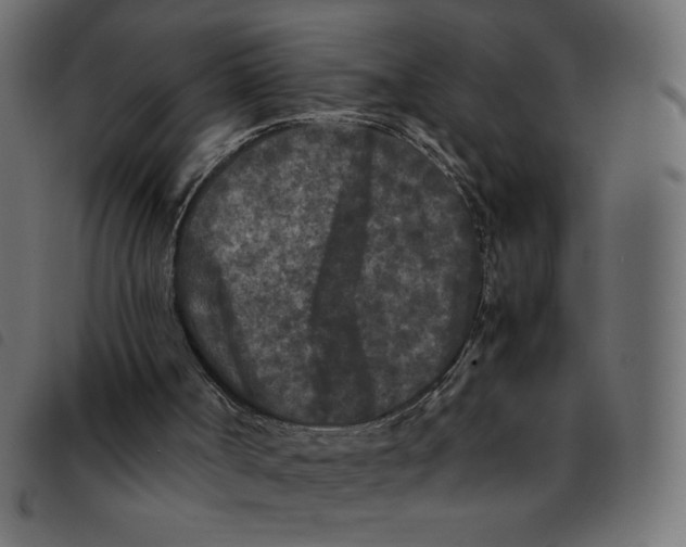 X0000092210002200710121139