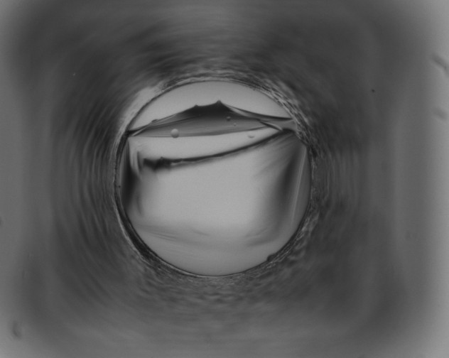 X0000092210003200710121139