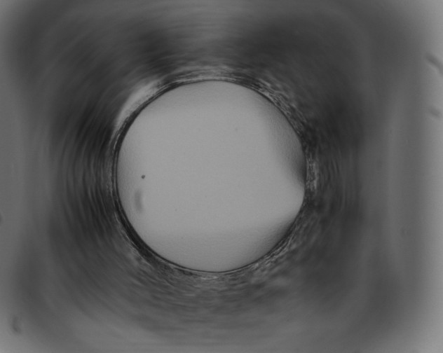 X0000092210004200710121138
