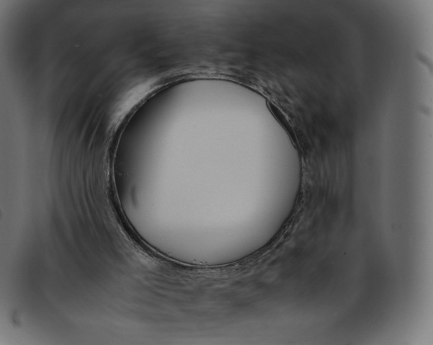 X0000092210005200710121138