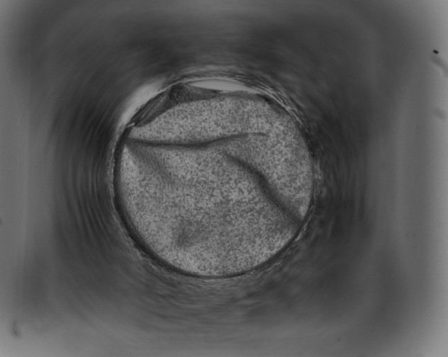 X0000092210006200710121138