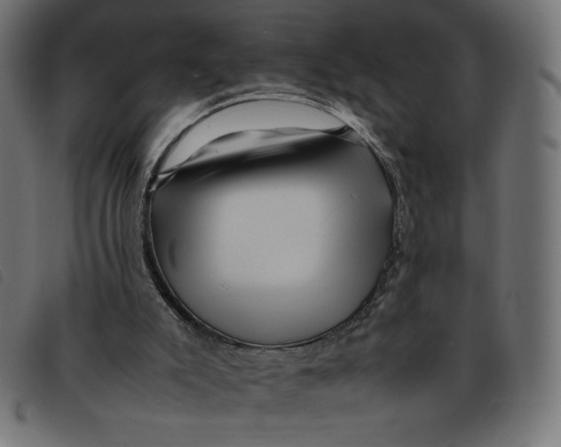 X0000092210007200710121138