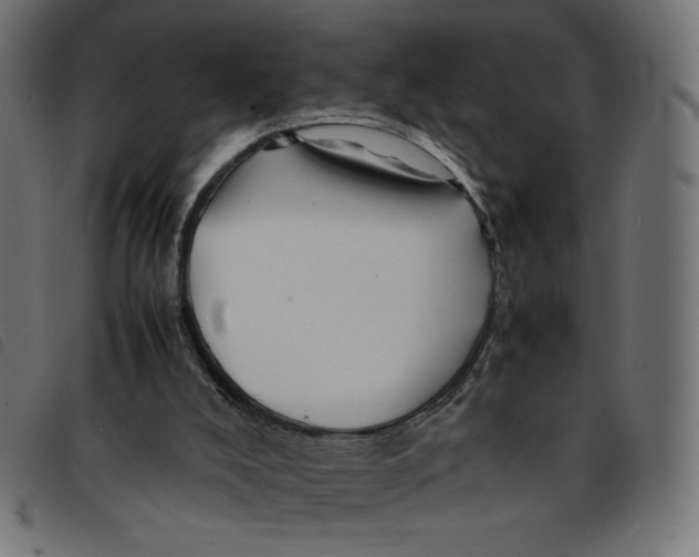 X0000092210008200710121138