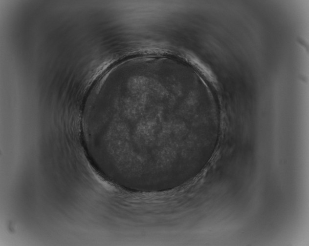 X0000092210009200710121138