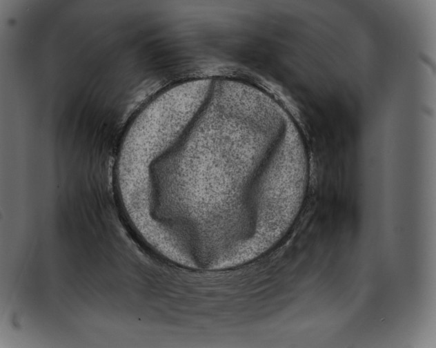 X0000092210010200710121138