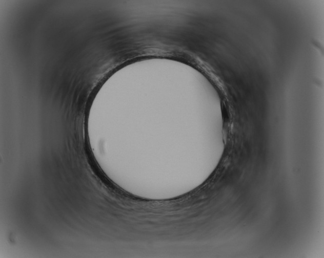 X0000092210011200710121138