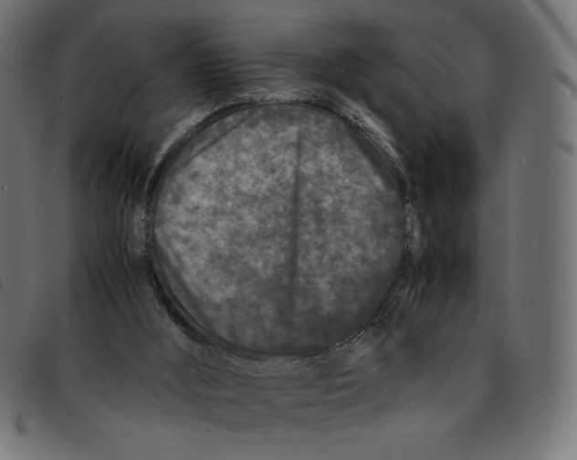 X0000092210012200710121138