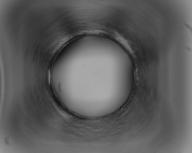 X0000092210013200710121138