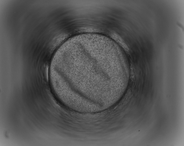 X0000092210014200710121138