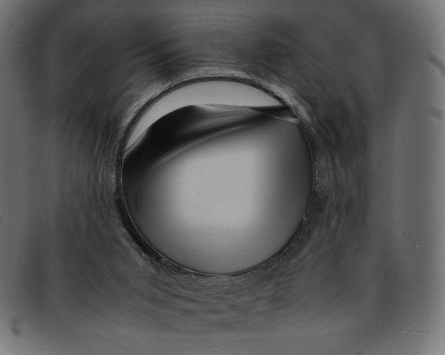 X0000092210015200710121138