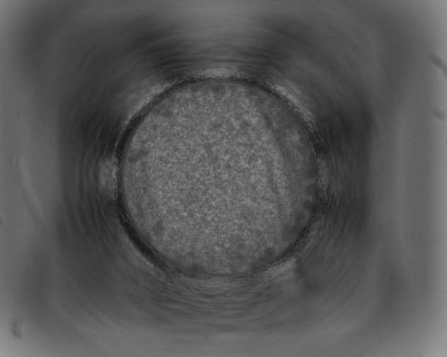 X0000092210016200710121138