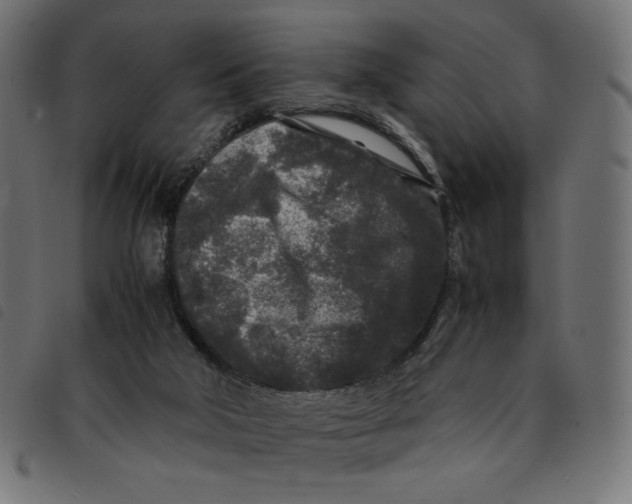 X0000092210018200710121138