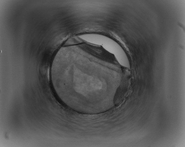 X0000092210019200710121138