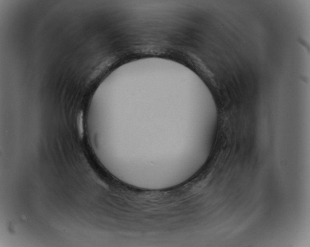 X0000092210020200710121138