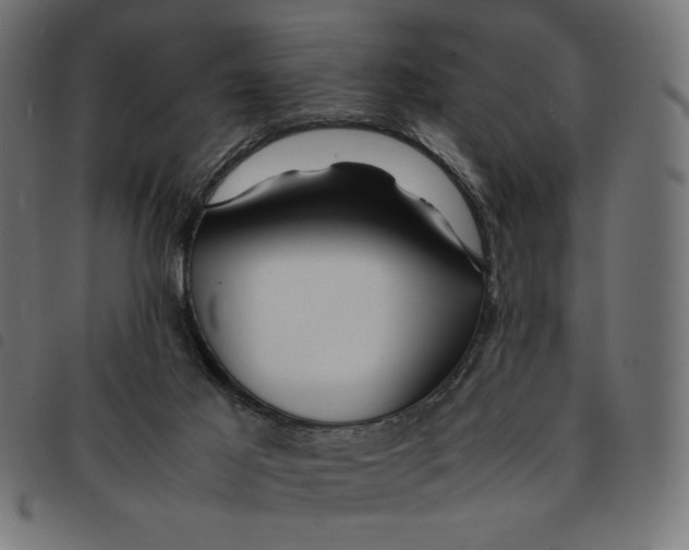 X0000092210021200710121138