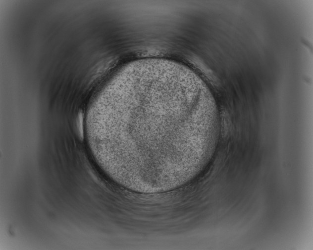 X0000092210022200710121138