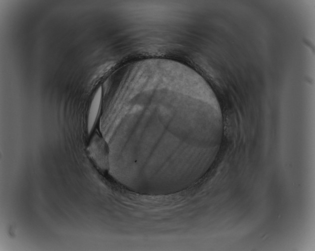 X0000092210023200710121138