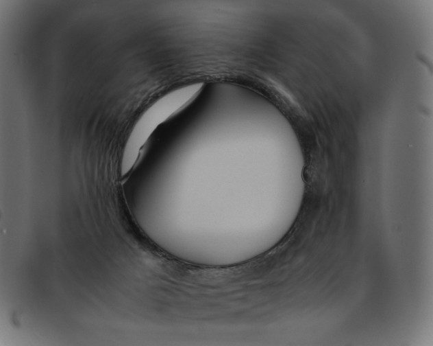 X0000092210025200710121138