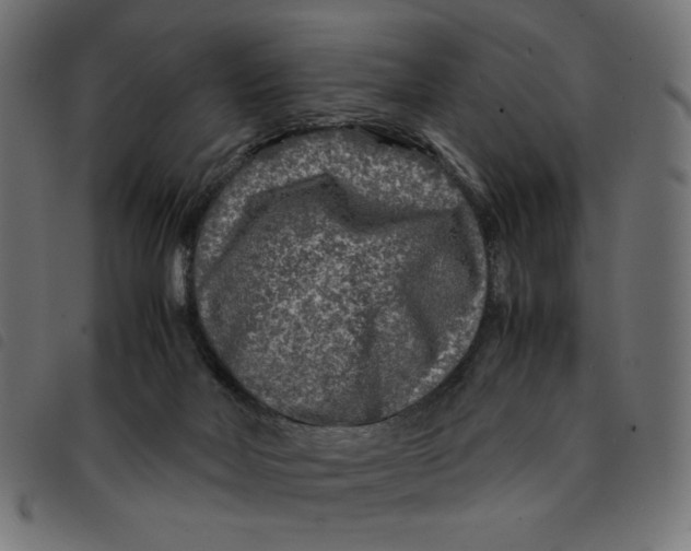 X0000092210026200710121138