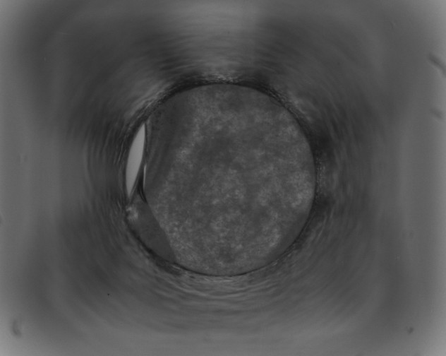 X0000092210027200710121138