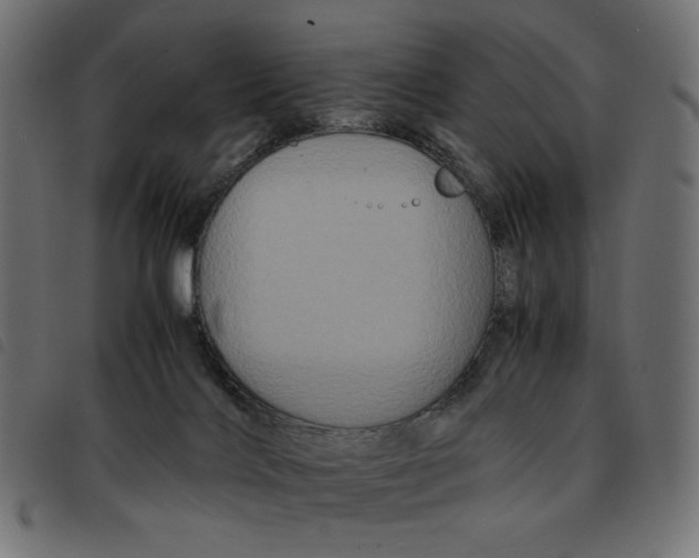 X0000092210028200710121138
