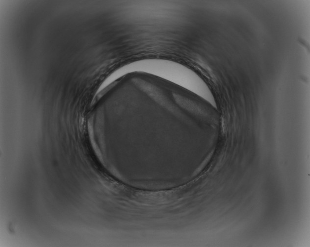 X0000092210029200710121138