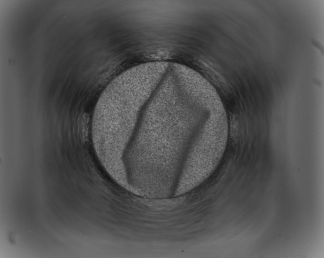 X0000092210030200710121138