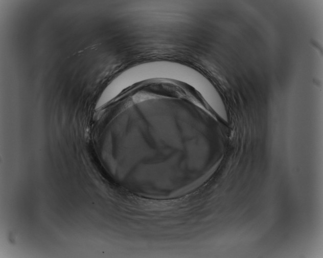 X0000092210031200710121138