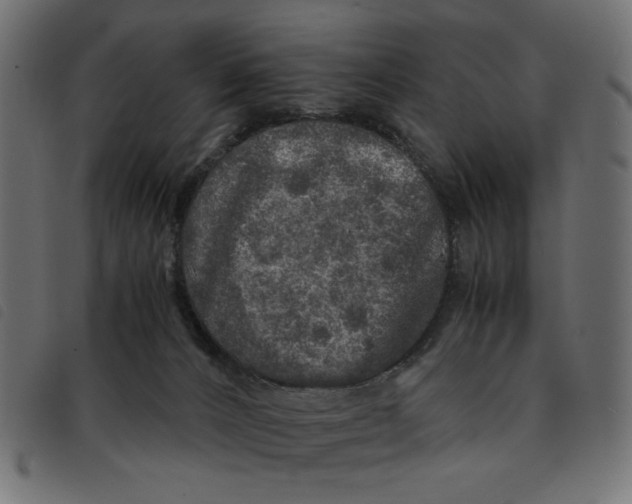 X0000092210032200710121138