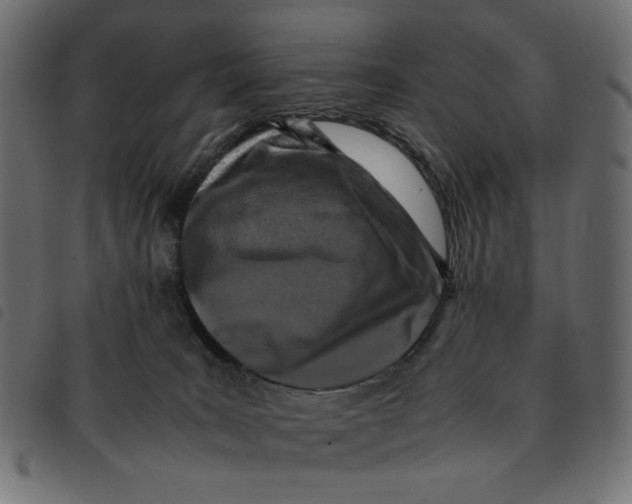 X0000092210035200710121138