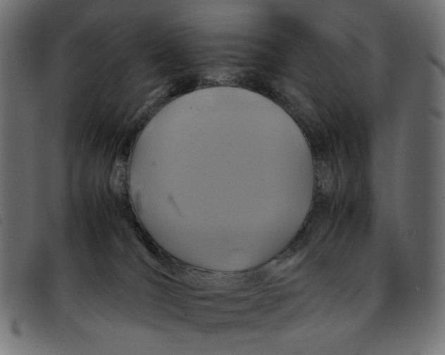 X0000092210036200710121138