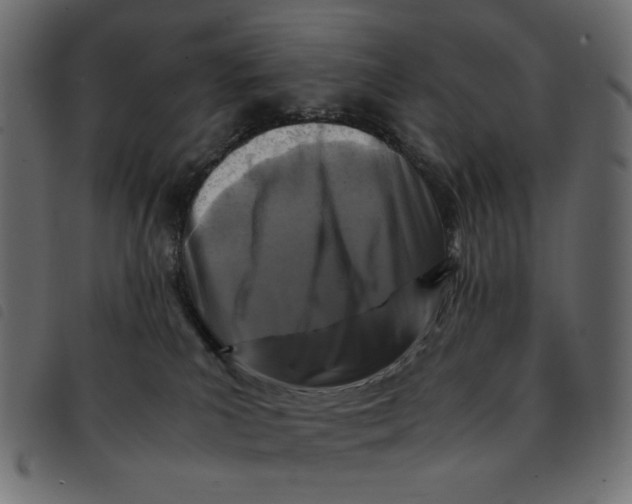X0000092210039200710121138
