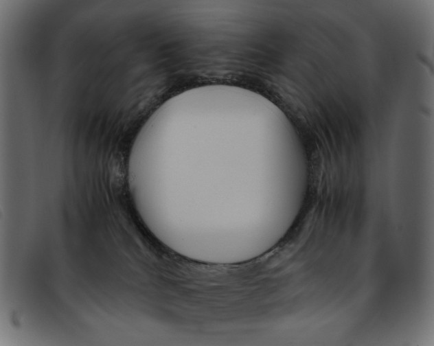 X0000092210040200710121138