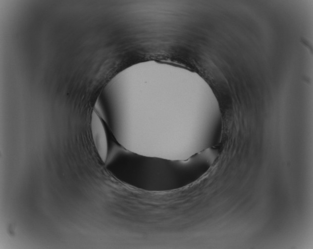 X0000092210041200710121138