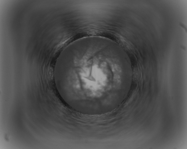 X0000092210043200710121138