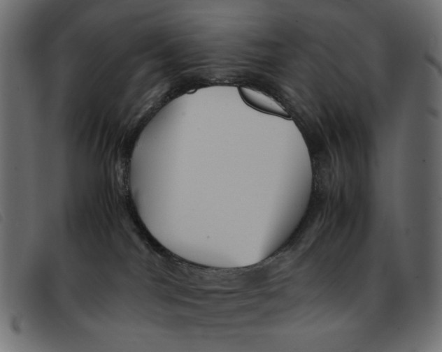 X0000092210044200710121138