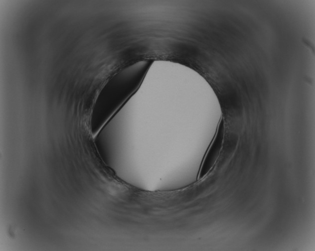 X0000092210045200710121138