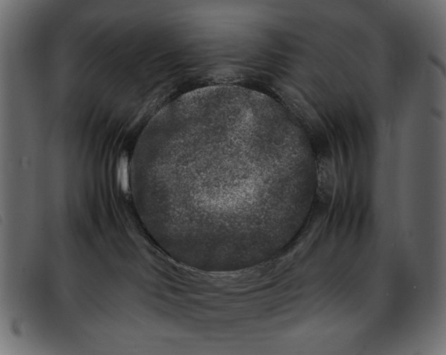 X0000092210046200710121138